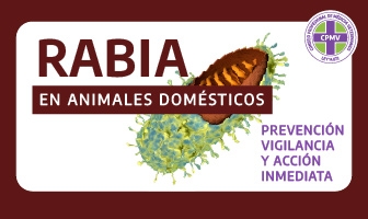 Rabia en Animales Domésticos